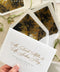 White wedding envelopes with address printing and envelope liners held in hand, showcasing elegant typography and layered fine art stationery styling.