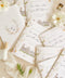 This handmade wedding program showcases your venue in a soft watercolor illustration, transforming a functional piece into a meaningful keepsake. Printed on premium fine-art paper with elegant typography, the design blends artistry and sentiment, giving your ceremony a romantic, personalized touch. Perfect for classic, garden, estate, and fine-art weddings, it elevates your details with charm, personality, and timeless style.