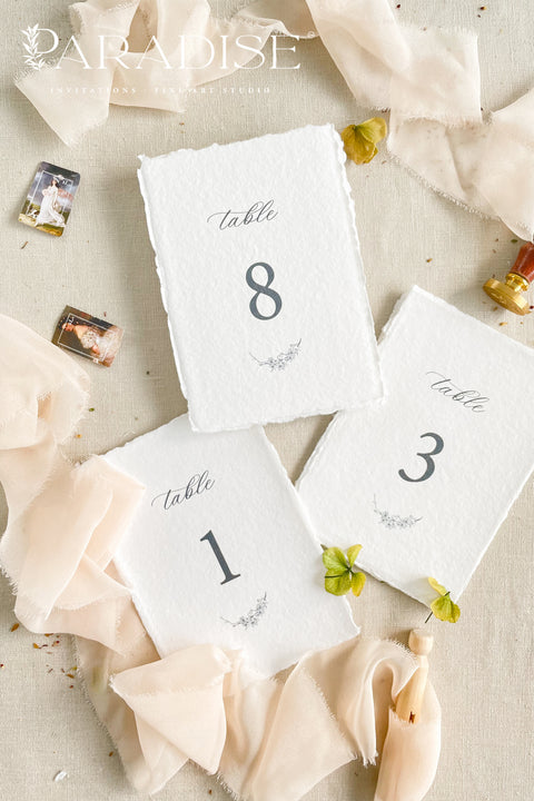 Table Numbers Fey