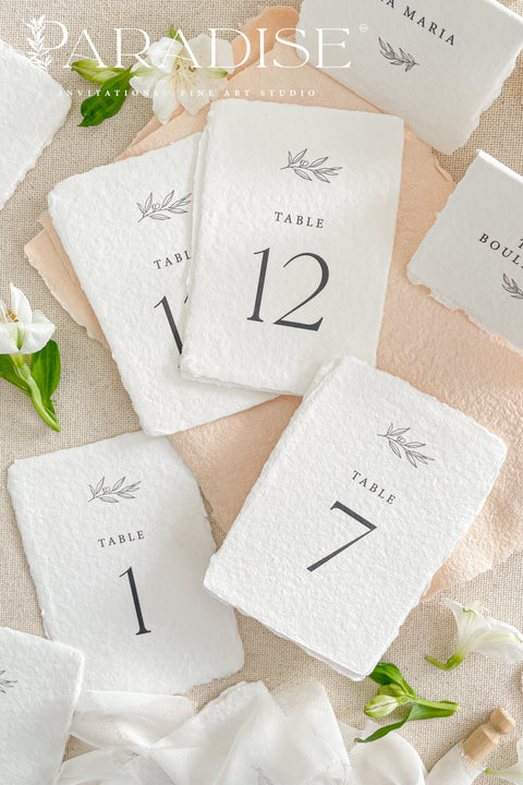 Elevate your wedding tablescape with our handmade paper table numbers. Each card is crafted from luxurious deckled-edge cotton paper and printed with soft, modern numerals for a refined, timeless look. Perfect for elegant weddings, intimate gatherings, and fine-art celebrations, these table numbers add effortless beauty to every setting.