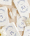 These botanical handmade paper table numbers are crafted on luxurious deckle-edge cotton paper and adorned with elegant blue floral illustrations. Perfect for garden weddings, fine-art celebrations, and romantic décor themes, each card adds refined texture and effortless elegance to your reception tables. Designed to blend natural artistry with timeless style, they create a cohesive and elevated guest experience.