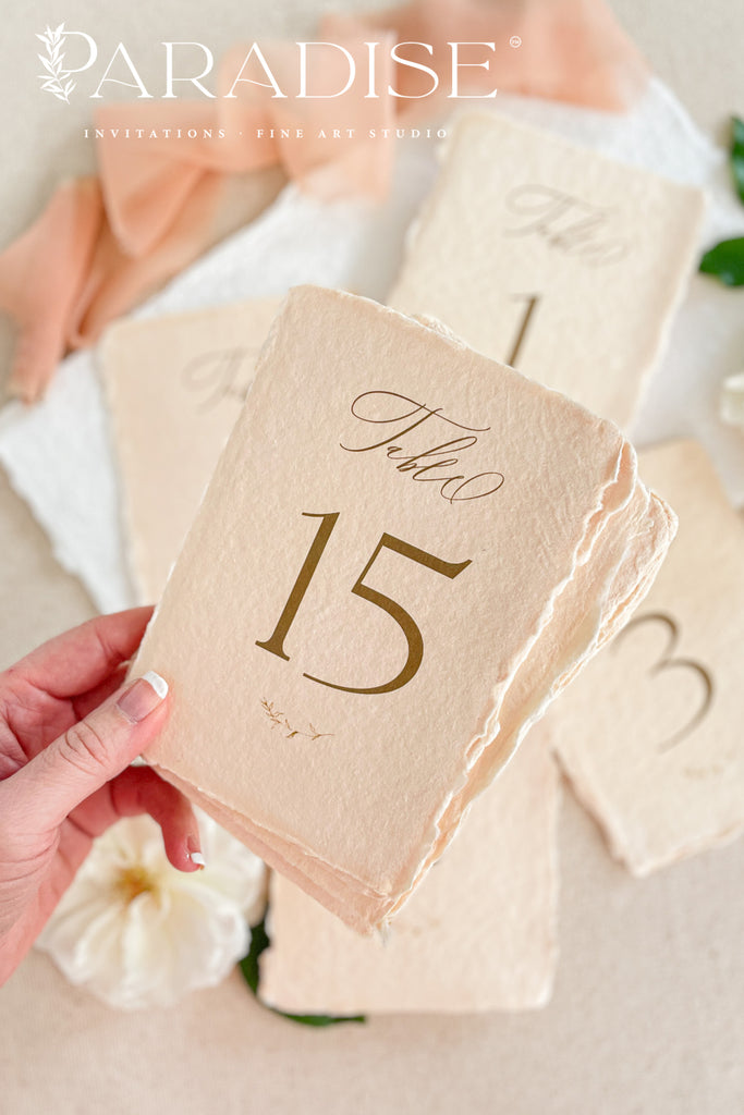 Elinda Colored Handmade Paper Table Numbers