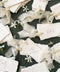 Ivory handmade paper wedding place cards featuring soft deckled edges, elegant calligraphy guest names, and delicate chiffon ribbon ties, styled on a textured green linen background for a romantic tablescape.