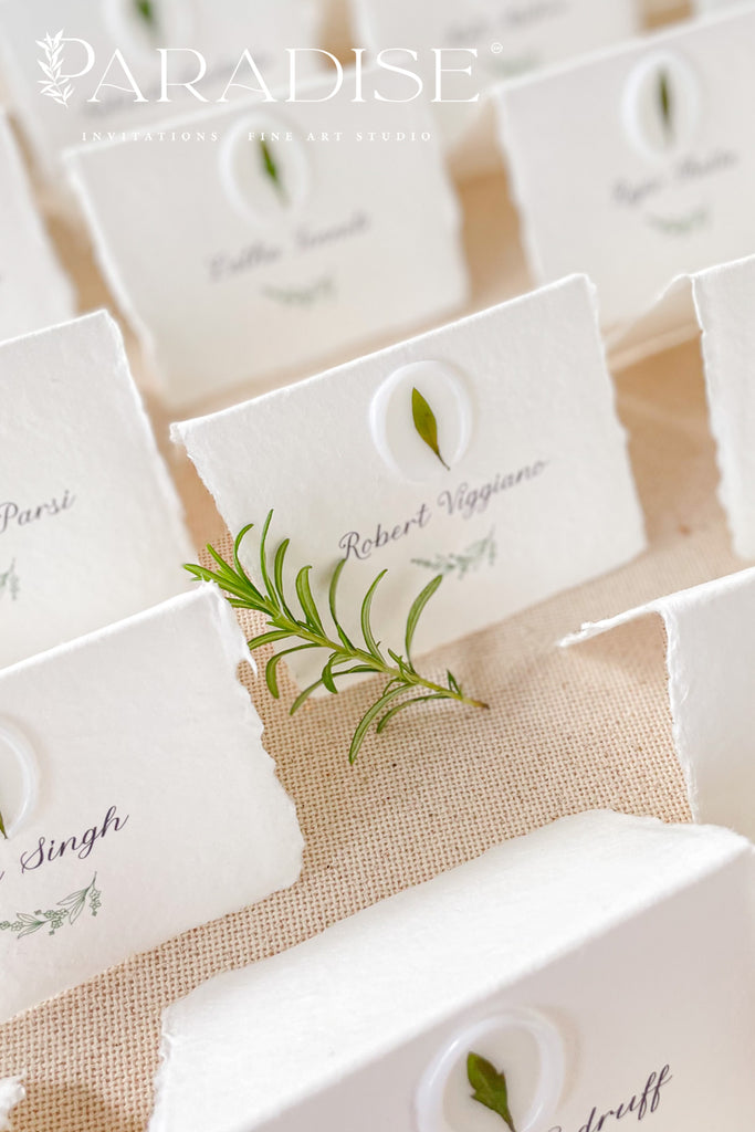 Jazmine Handmade Paper Place Cards and Vellum Wax Seals