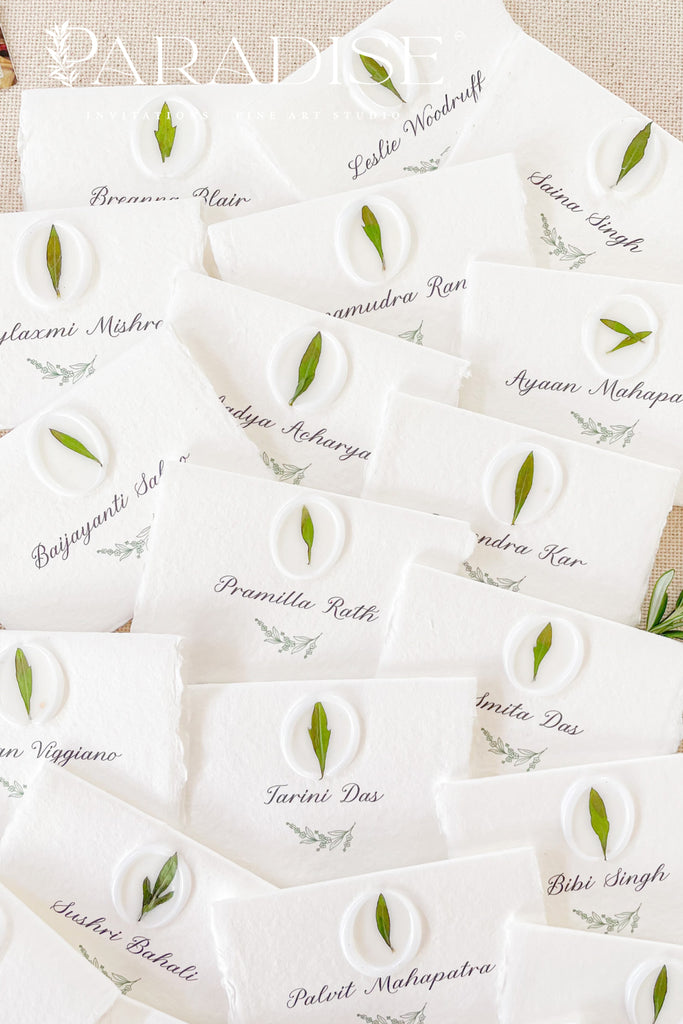 Jazmine Handmade Paper Place Cards and Vellum Wax Seals