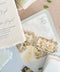 Envelope Liners Watercolor Hand-Drawn Illustrations