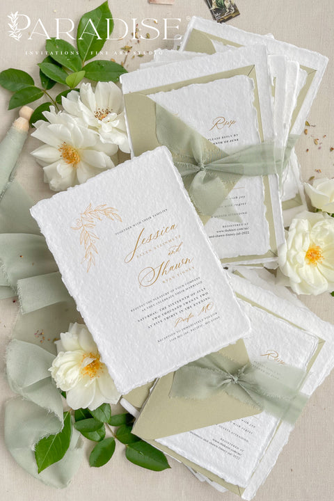 Announce your special day with the serene beauty of these cotton rag handmade paper wedding invitations. Perfect for a garden wedding, this suite captures the natural elegance of your event with a fresh sage theme and a delicate olive branch design. The olive invites are printed on premium, artisan paper with a natural deckle edge, providing a truly organic and luxurious feel that will enchant your guests.