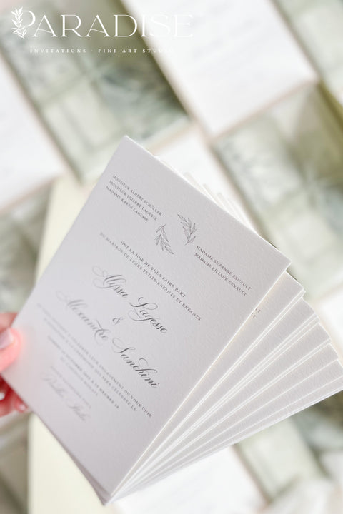 Bring natural elegance to your celebration with our vellum wedding invitations, designed with soft sage green accents, modern fine art typography, and translucent vellum wraps tied with ribbon. Each suite is crafted by hand to embody a refined yet organic aesthetic that perfectly suits botanical, garden, or destination weddings. Printed on premium cardstock with delicate botanical illustrations.