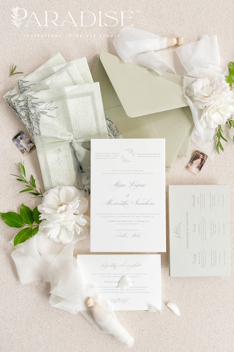 Bring natural elegance to your celebration with our vellum wedding invitations, designed with soft sage green accents, modern fine art typography, and translucent vellum wraps tied with ribbon. Each suite is crafted by hand to embody a refined yet organic aesthetic that perfectly suits botanical, garden, or destination weddings. Printed on premium cardstock with delicate botanical illustrations.