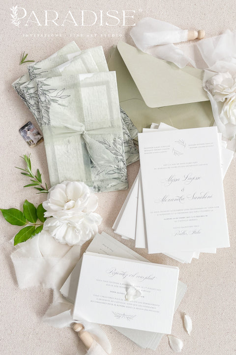 Bring natural elegance to your celebration with our vellum wedding invitations, designed with soft sage green accents, modern fine art typography, and translucent vellum wraps tied with ribbon. Each suite is crafted by hand to embody a refined yet organic aesthetic that perfectly suits botanical, garden, or destination weddings. Printed on premium cardstock with delicate botanical illustrations.