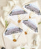 Wedding envelopes with watercolor venue liners, styled flat lay with ribbon and wax seals, showcasing hand-painted venue artwork for luxury invitation suites.