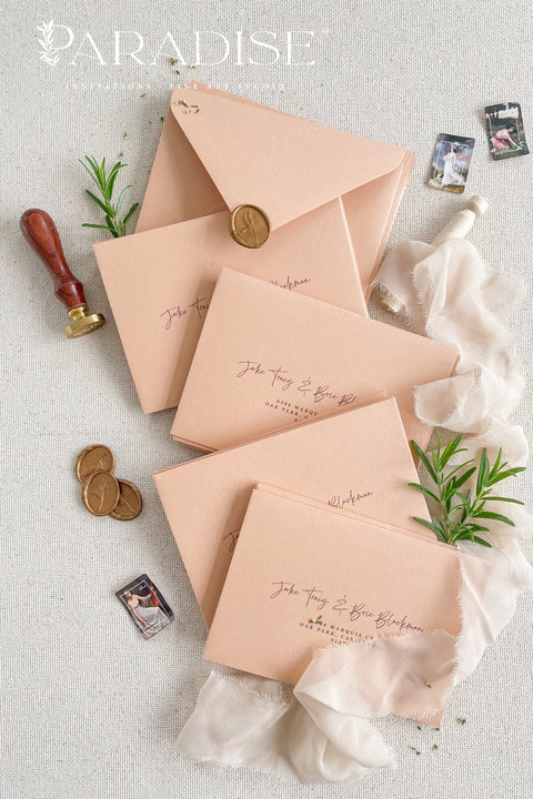 Soft beige envelopes featuring black ink calligraphy address printing, photographed with wax seals and styling props for elegant wedding stationery.
