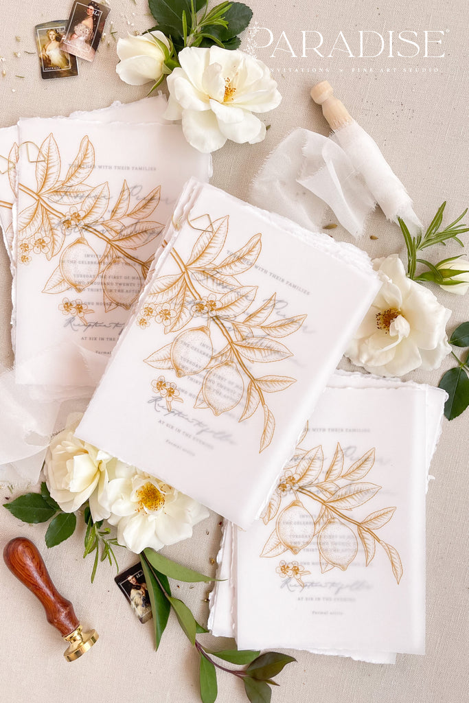 Ainsley Handmade Paper Wedding Invitation Sets