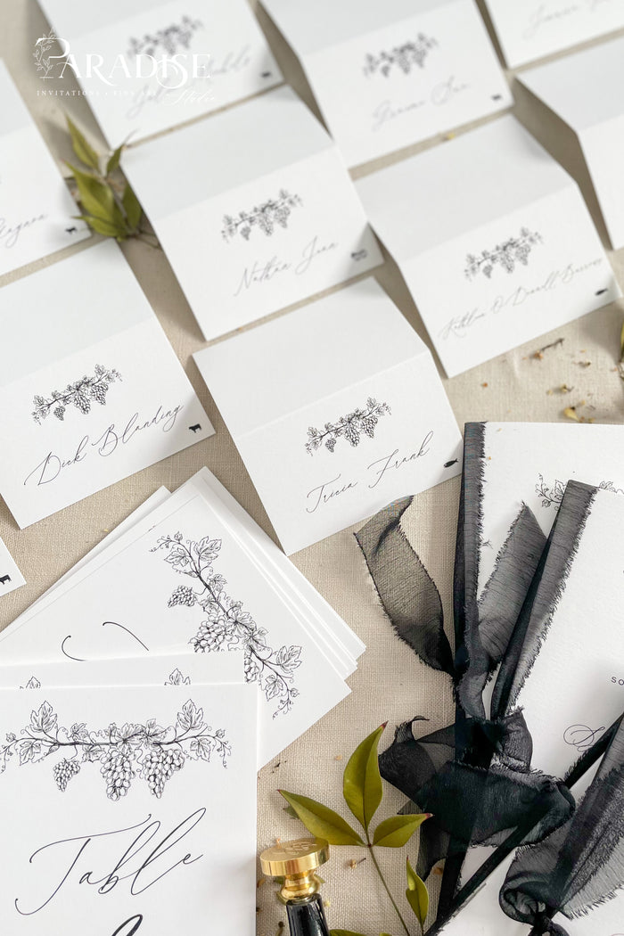 Evelina Modern Place Cards