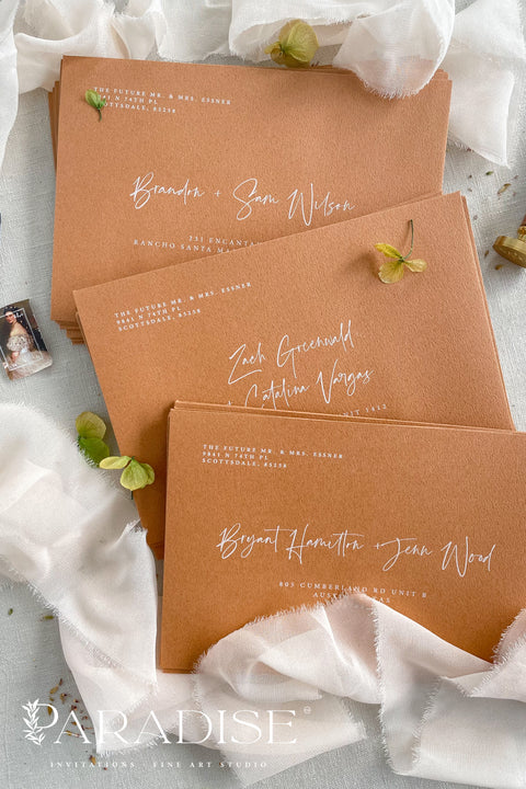 A stack of cinnamon brown envelopes with white ink address printing, displayed on a white surface with some scattered leaves and a photo corner piece.