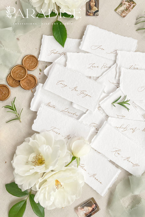Create a romantic, fine-art tablescape with our handmade paper place cards, crafted from luxurious cotton rag paper and finished with soft, torn deckled edges. Each card features elegant calligraphy, delicate chiffon ribbon, and a timeless organic texture - perfect for weddings, intimate dinners, bridal showers, or upscale celebrations. These artisan-crafted pieces bring softness, refinement, and natural beauty to any seating display.
