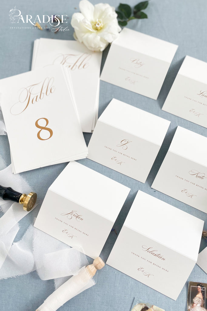 Ivee Modern Calligraphy Place Cards