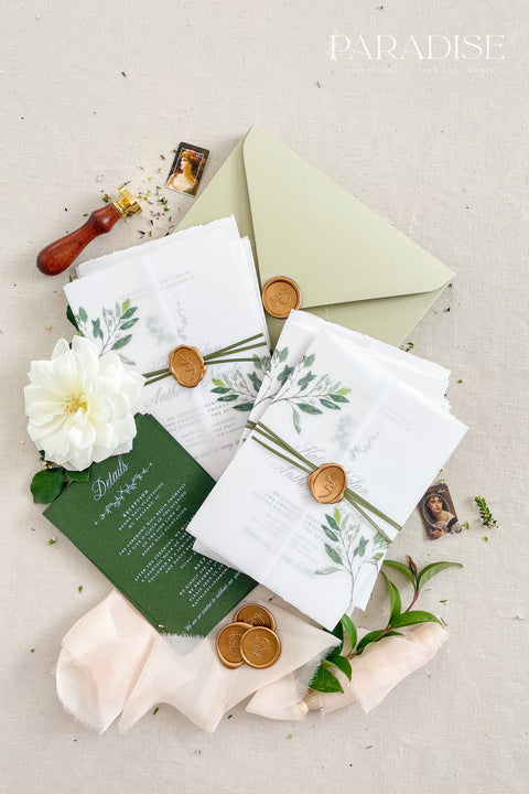 This botanical wedding invitation suite embodies effortless sophistication. Printed on luxury deckled-edge cotton paper, each piece is adorned with a delicate botanical motif and your custom monogram, creating a beautiful balance of refinement and intimacy. Wrapped in a vellum jacket featuring soft greenery details and tied with an olive silk ribbon, this suite exudes quiet romance - the kind inspired by nature, craftsmanship, and heartfelt storytelling.