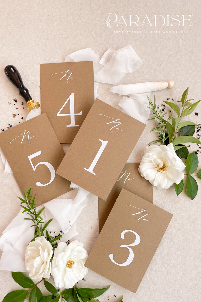 Kaitlyn Modern Table Numbers