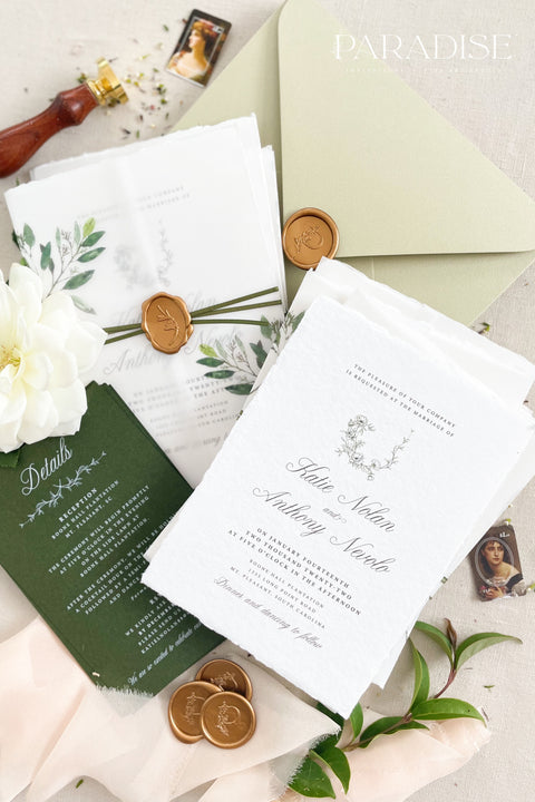 This botanical wedding invitation suite embodies effortless sophistication. Printed on luxury deckled-edge cotton paper, each piece is adorned with a delicate botanical motif and your custom monogram, creating a beautiful balance of refinement and intimacy. Wrapped in a vellum jacket featuring soft greenery details and tied with an olive silk ribbon, this suite exudes quiet romance - the kind inspired by nature, craftsmanship, and heartfelt storytelling.