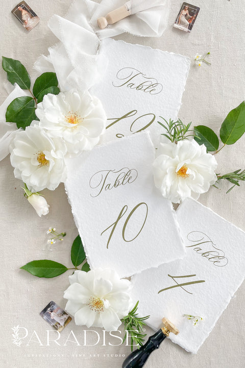 These minimalist handmade paper table numbers are crafted from premium deckle-edge cotton paper and designed with elegant script for a timeless, fine-art look. The soft texture and organic edges bring natural sophistication to your wedding tables, while the clean numbering ensures modern simplicity. Perfect for romantic, classic, and elevated celebrations, these table numbers create a beautifully cohesive and luxurious décor experience.