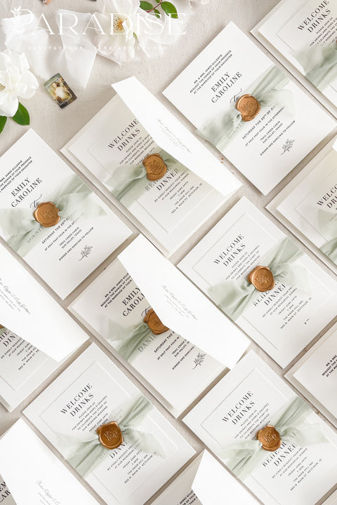 This letterpress wedding invitation suite is designed for couples who value craftsmanship and simplicity. Printed on luxury cotton paper, each invitation showcases the unmistakable texture and depth of traditional letterpress printing, where every word is gently pressed into the paper for a tactile, heirloom finish. Wrapped in a sage green silk ribbon and sealed with hand-poured gold wax, this suite exudes quiet luxury and romance.