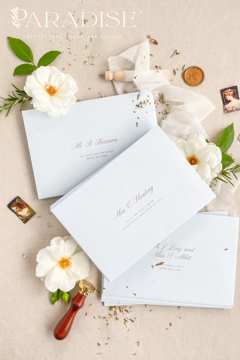 Coco linen wedding envelopes with professional address printing, showing linen texture, soft neutral color, and refined typography for fine art stationery.
