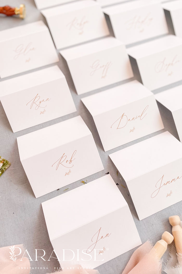 Iva Modern Place Cards