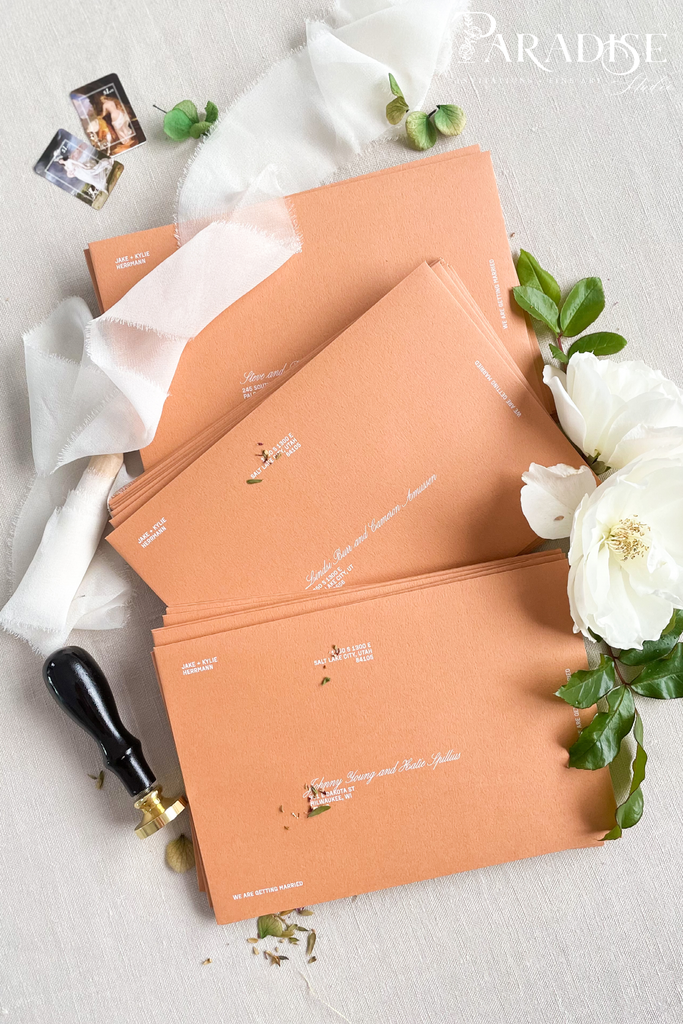 Terracotta Envelopes and White ink Printing