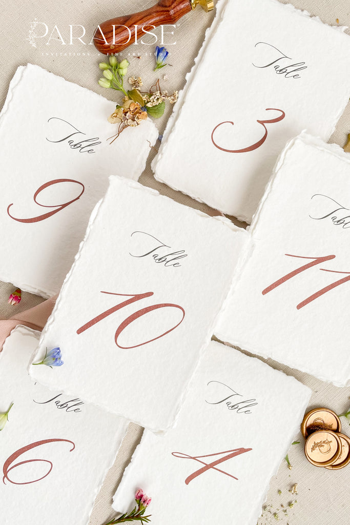 Danna Handmade Paper Table Numbers