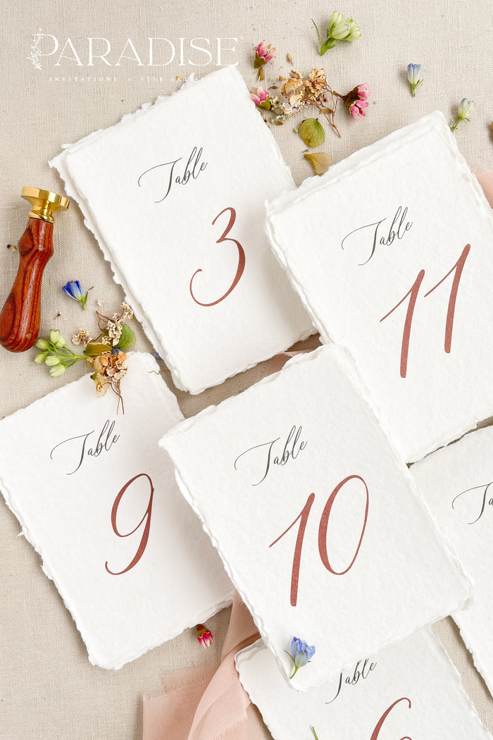 Danna Handmade Paper Table Numbers