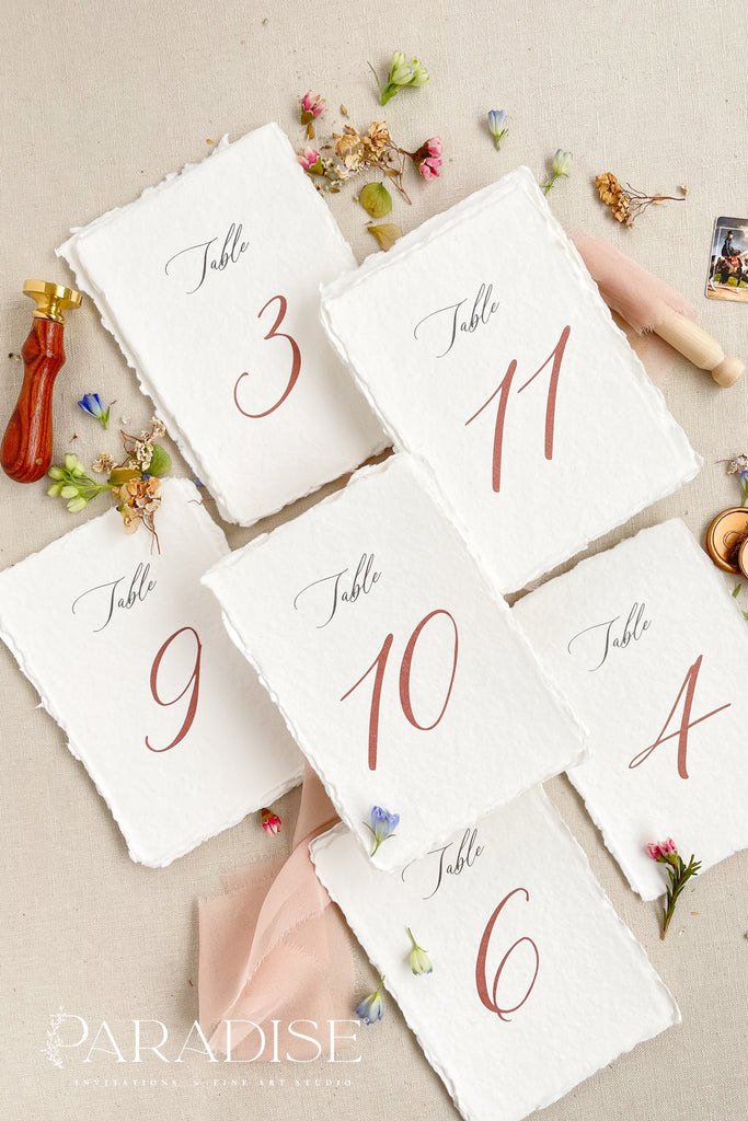 Danna Handmade Paper Table Numbers